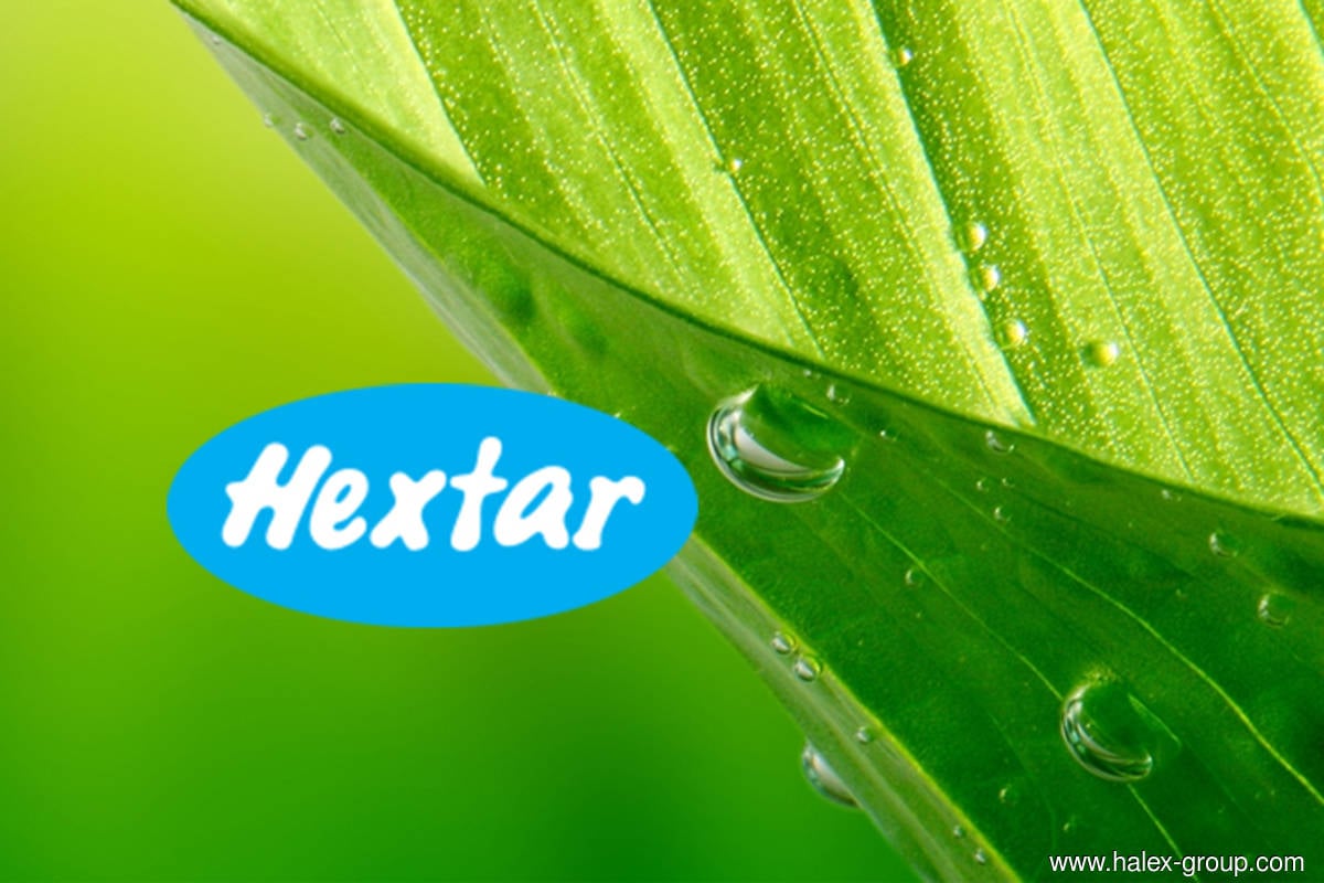 次季净利暴涨 Hextar Technologies应声扬